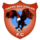 Away team logo