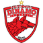 Динамо Бухарест U-19 logo