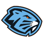 Динамо-Шинник Бобруйск logo