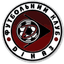 Диназ Вышгород logo