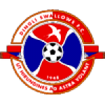 Дингли Сваллоуз logo