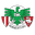 Home team logo
