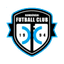 Домбовар ФК logo