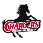 Доминиканский Колледж Зарядные Устройства