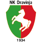Дравиня Кострой logo