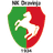 Дравиня Кострой logo