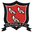 Home team logo