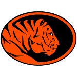 home team logo
