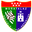 Home team logo