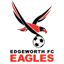 Away team logo