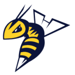 Edmonton Stingers