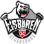 Eisbären Regensburg