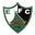Home team logo