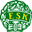 Home team logo
