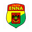 Home team logo