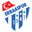 Home team logo