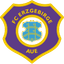 Эрцгебирге Ауэ logo