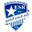 Home team logo