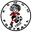 Home team logo