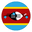 Home team logo