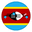 Home team logo