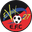 Home team logo