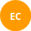 Эксетер Сити (женщины) logo