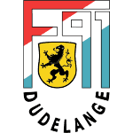 Дюделанж logo