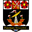 Home team logo
