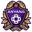 Home team logo