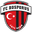 Home team logo