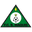 Home team logo