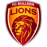 FC Bulleen Lions