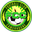Home team logo