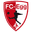 Home team logo
