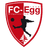 FC Egg logo