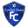 Home team logo