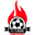 Home team logo