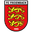 Home team logo
