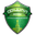 Home team logo