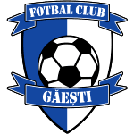ФК Гэешти logo