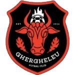ФК Гергелеу logo