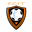 Home team logo