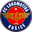 Home team logo