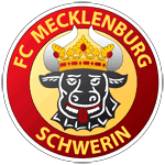 ФК Мекленбург Шверин logo