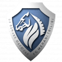 Home Team logo