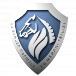 Фк Мерани Тбилиси logo