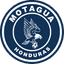 teamLogo