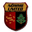Home team logo