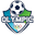 Home team logo